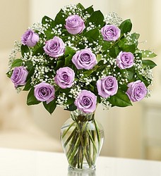 Purple Rain Premium Long Stem Roses Flower Power, Florist Davenport FL